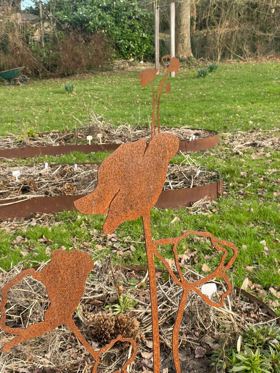 Cortenstaal & Bloemen — stoer en zacht in één beeld