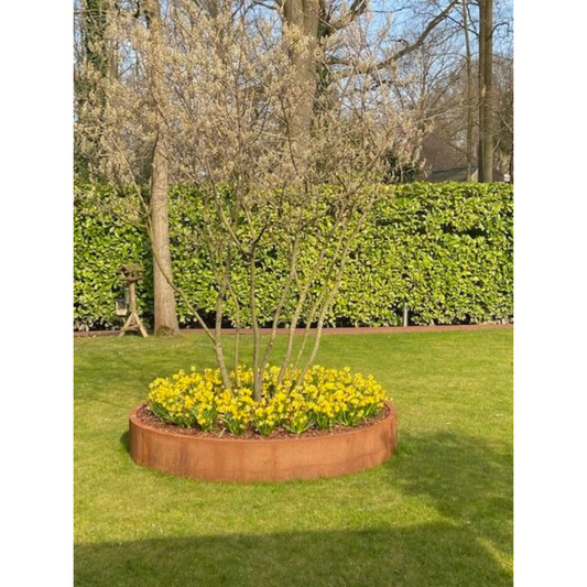 Ring in cortenstaal voor boom of struik