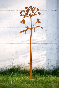 Berenklauw bloem in cortenstaal