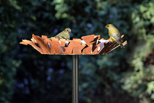 Design drinkschaal vogels