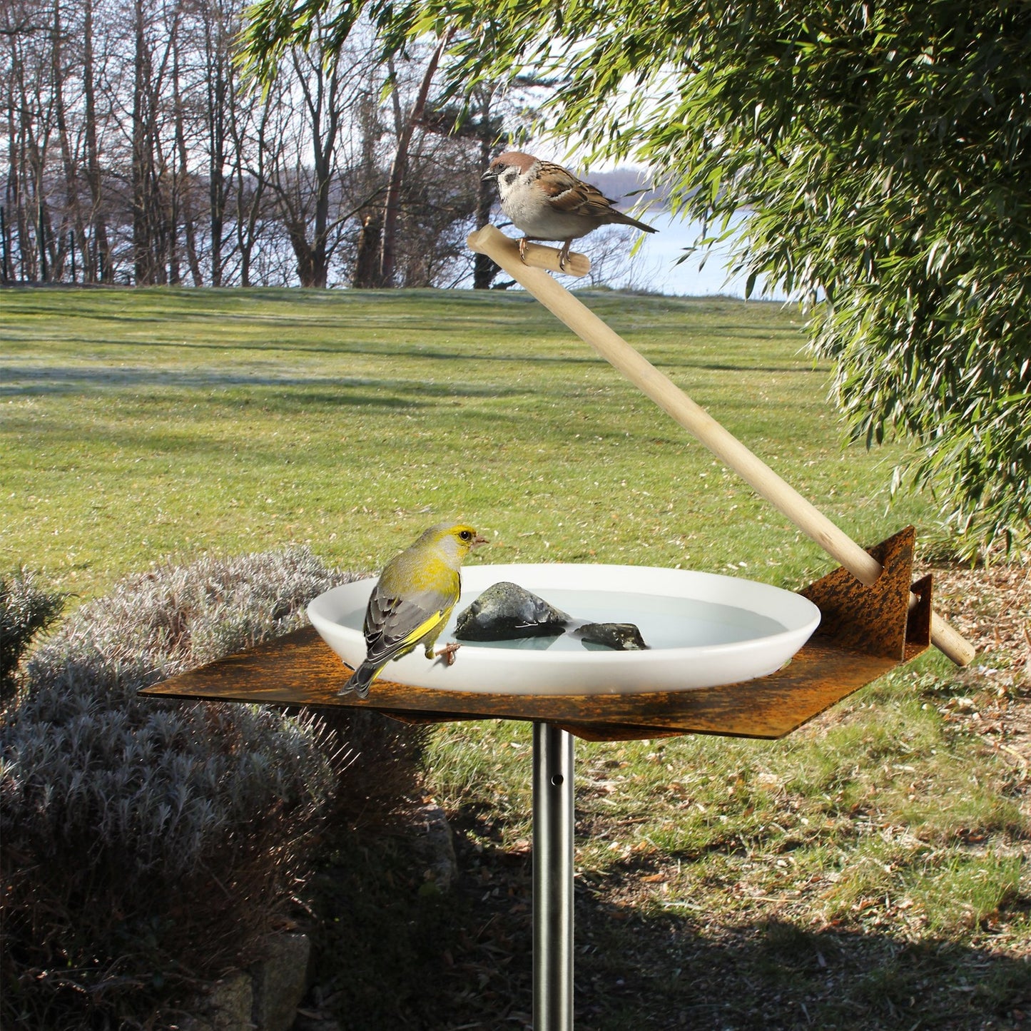 Vogeldrinkschaal in cortenstaal met houten zitstok β design vogelbad op staander