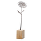 Decoratieve bloemen in cortenstaal - tuinstekers klein