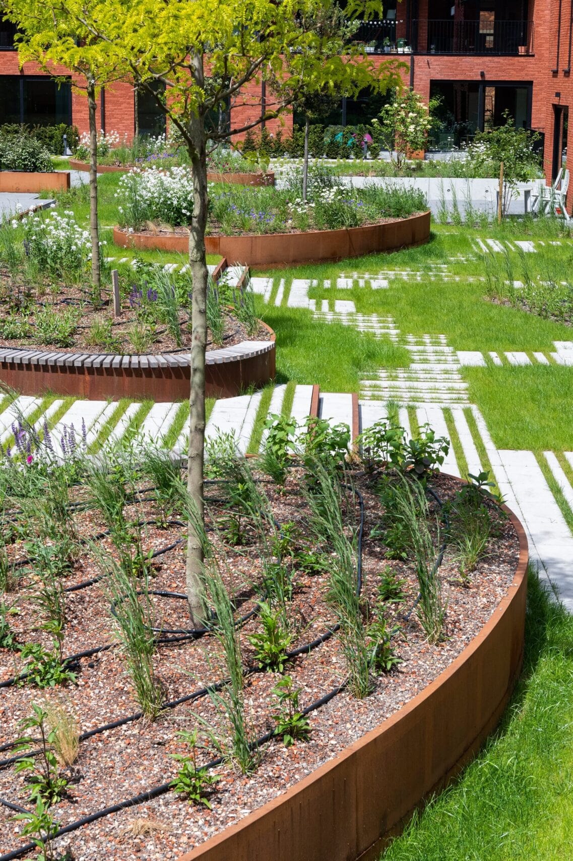 Een moderne tuin met verhoogde, ronde plantenbakken gemaakt van keerwanden in cortenstaal gevuld met siergrassen en bloemen.