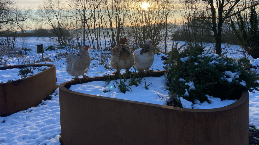 Cortenstaal plantenbak uit de ORÉA collectie in een tuin met sneeuw en natuurlijke beplanting