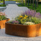 Organisch gevormde grote  plantenbak in cortenstaal uit de ORÉA Flower Collection