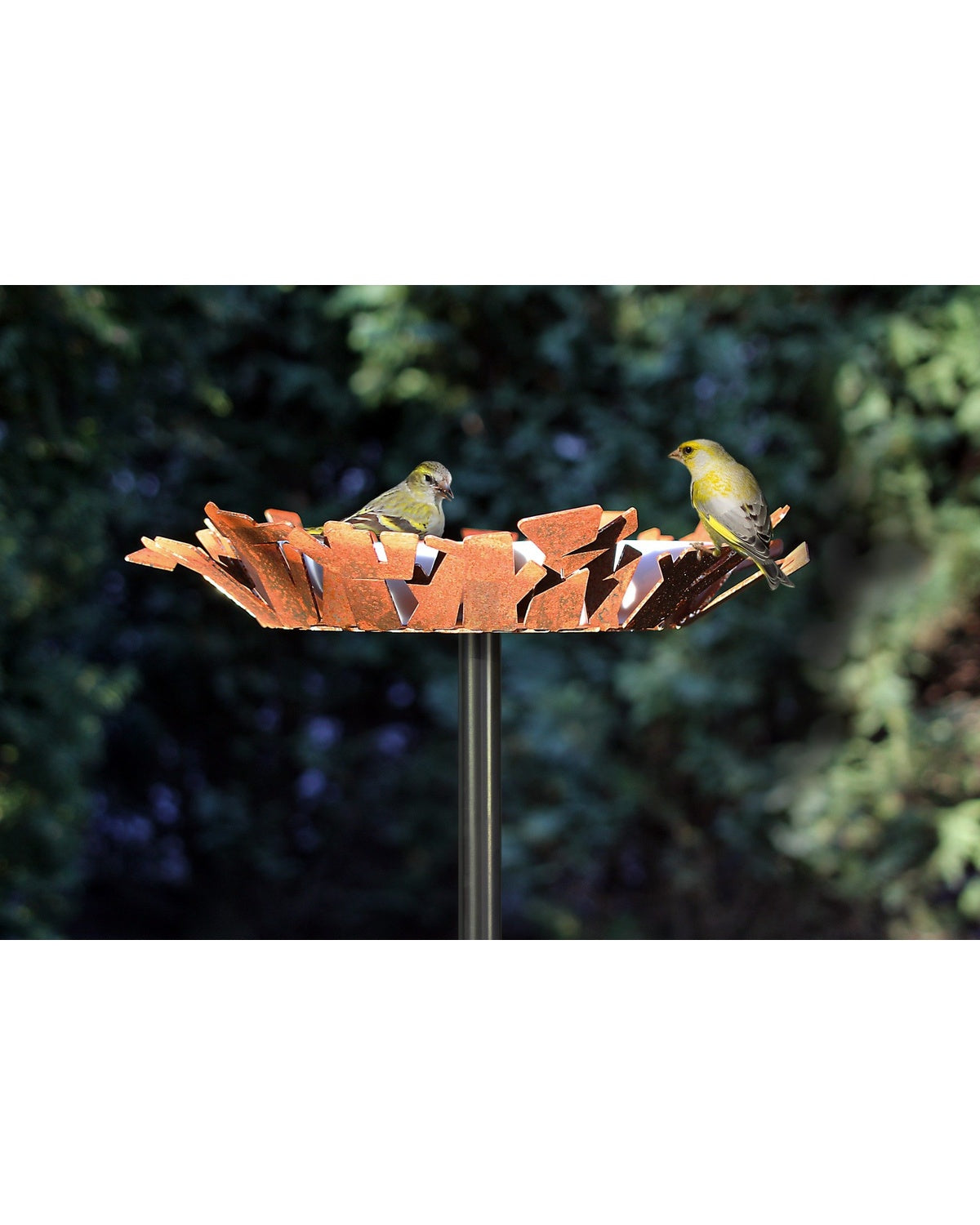 Design drinkschaal vogels