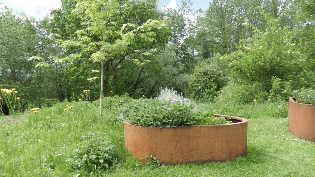 middelgrote organische plantenbak cortenstaal