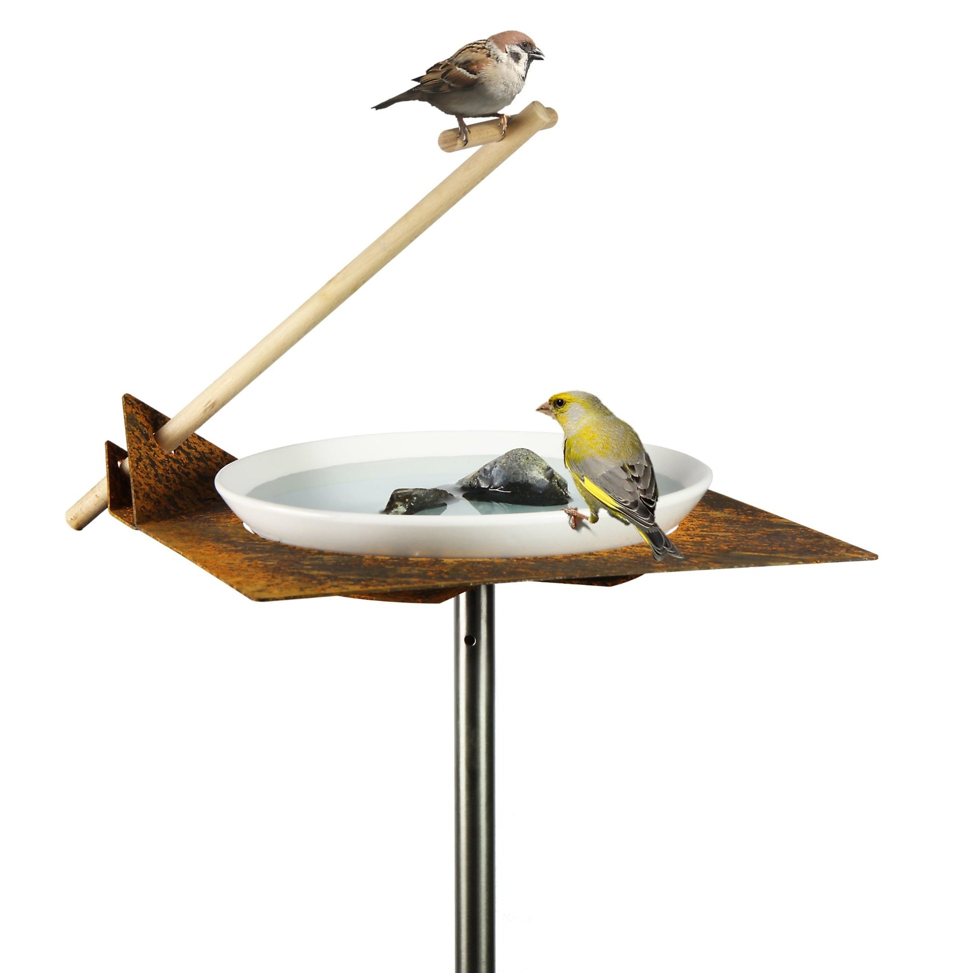 Vogels drinken uit cortenstaal drinkschaal met houten zitstok