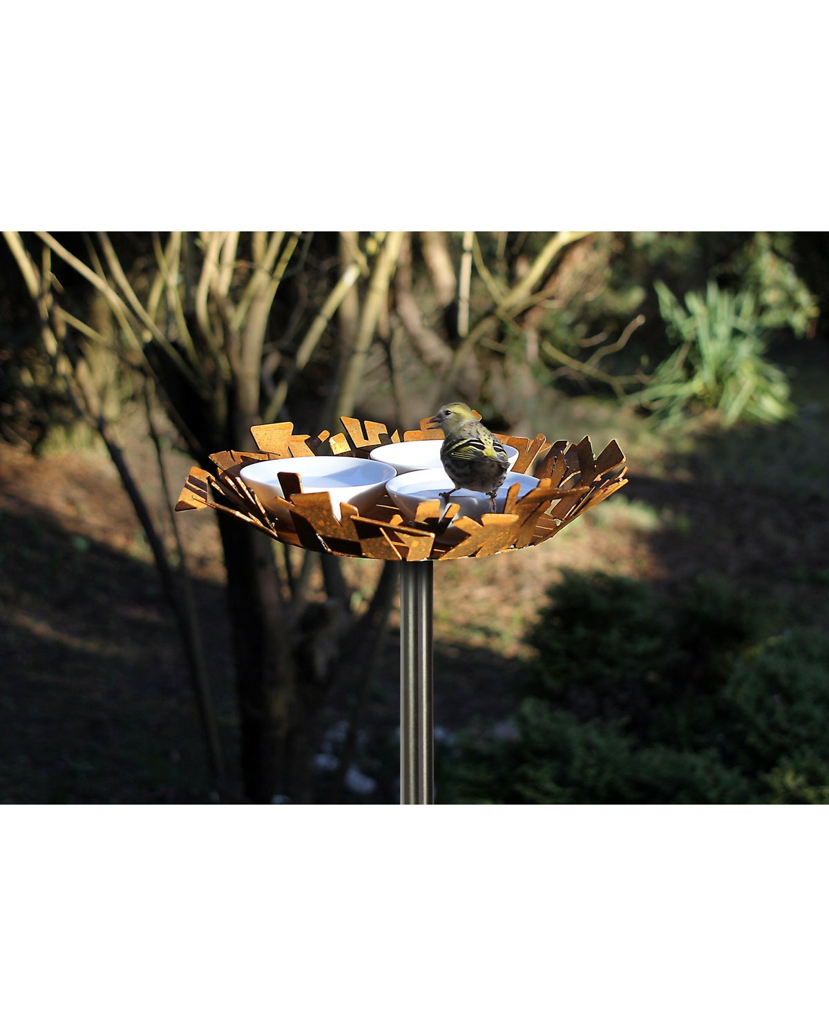 Vogelbad in cortenstaal