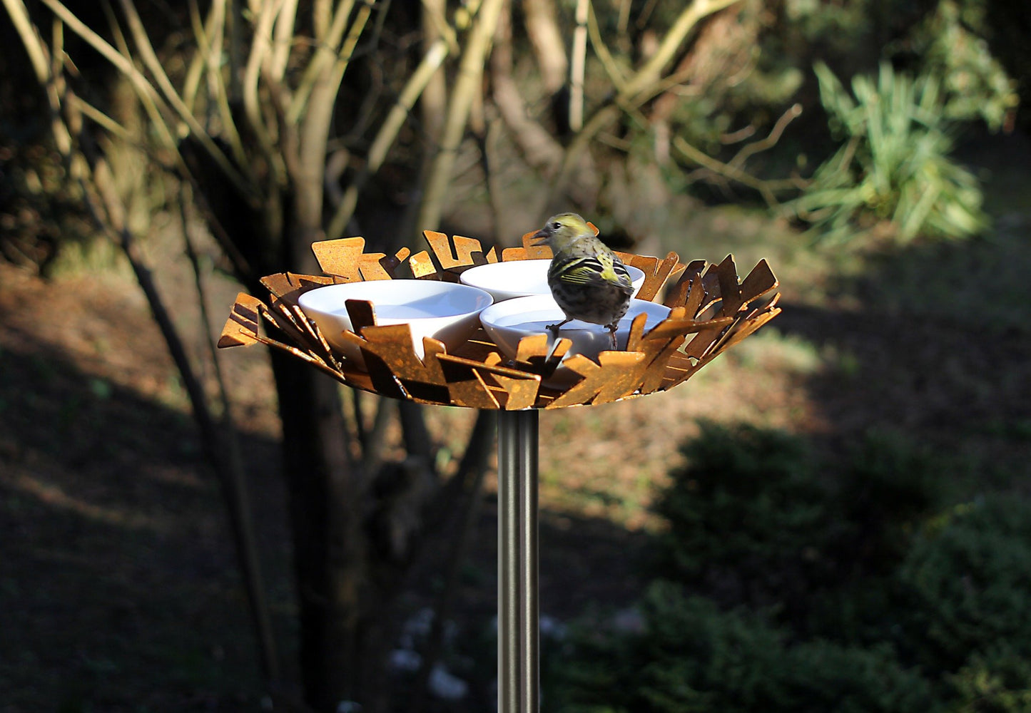 Vogelbad in cortenstaal