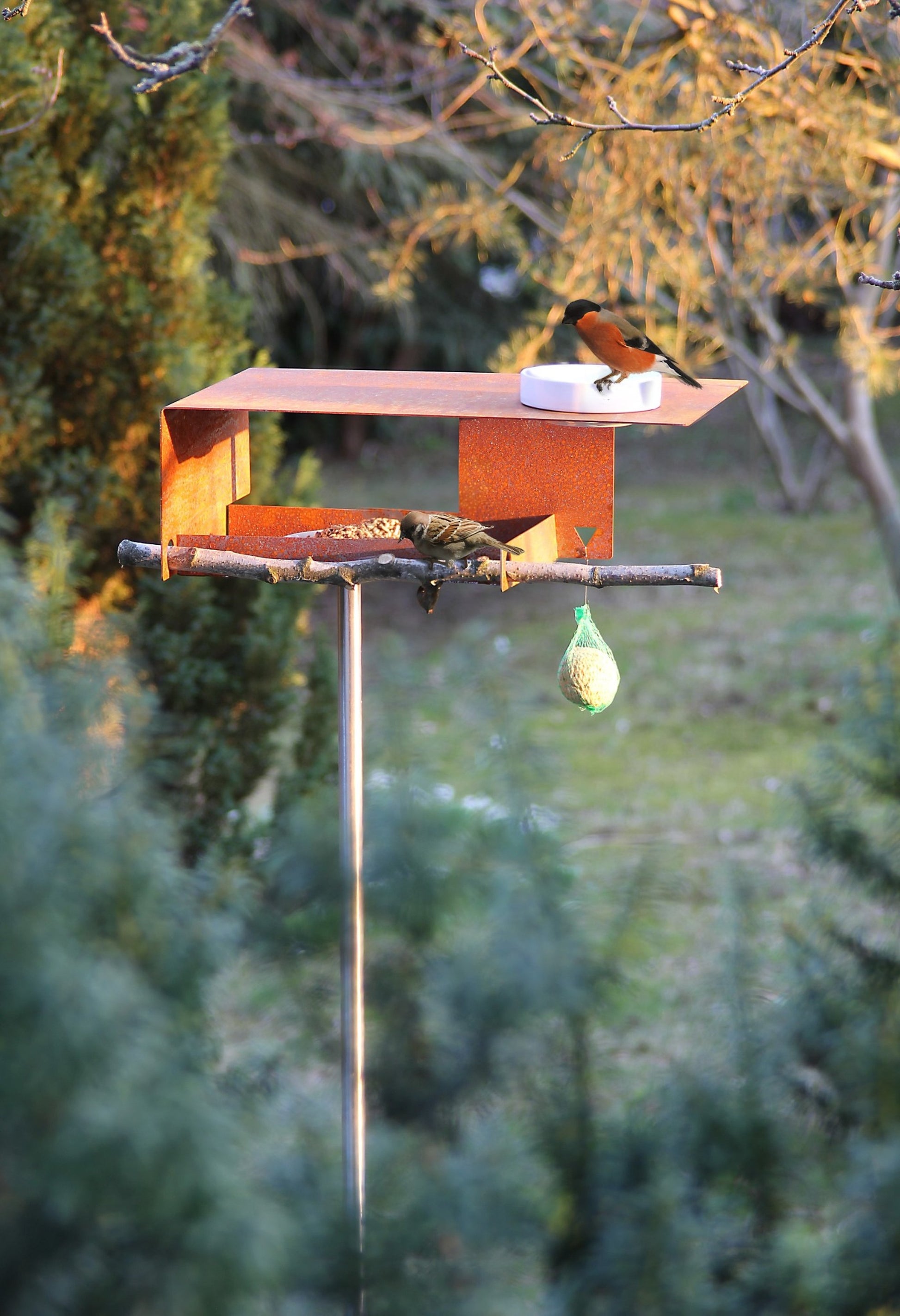 Vogelhuisje in cortenstaal met vogels en drinkschaal