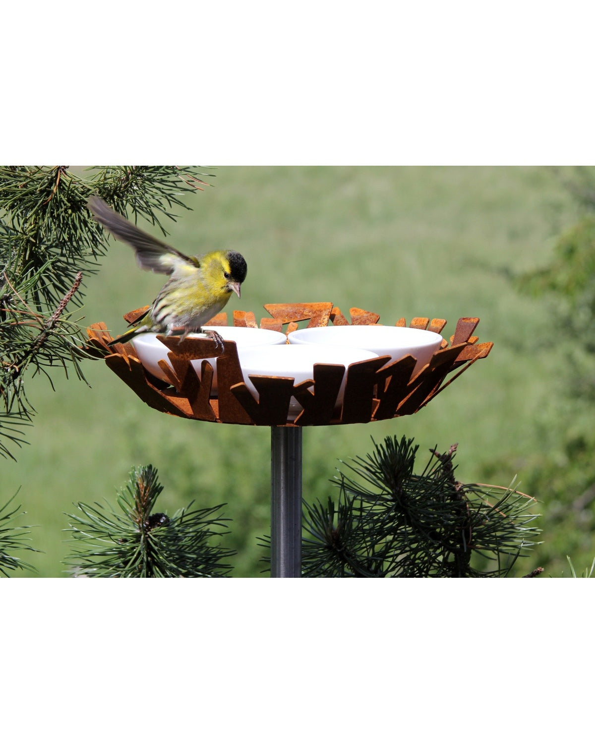 Vogel voeder -en drinkbak cortenstaal