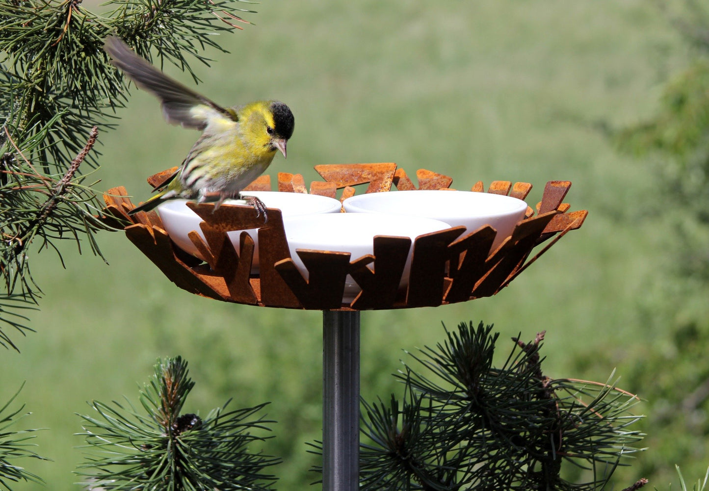 Vogel voeder -en drinkbak cortenstaal